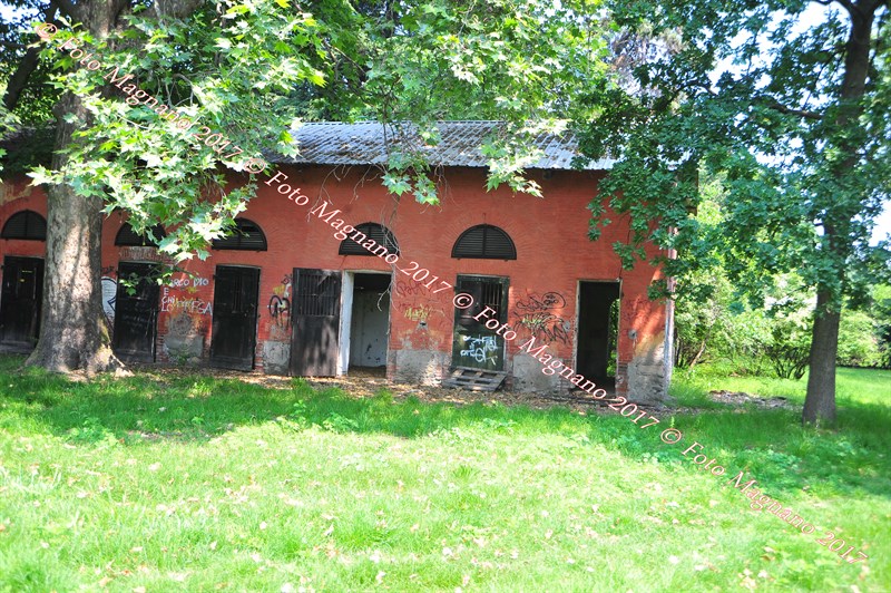 DSC_0961.JPG